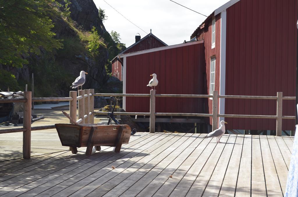 Lofoten Cabins - Sund Sund  Buitenkant foto